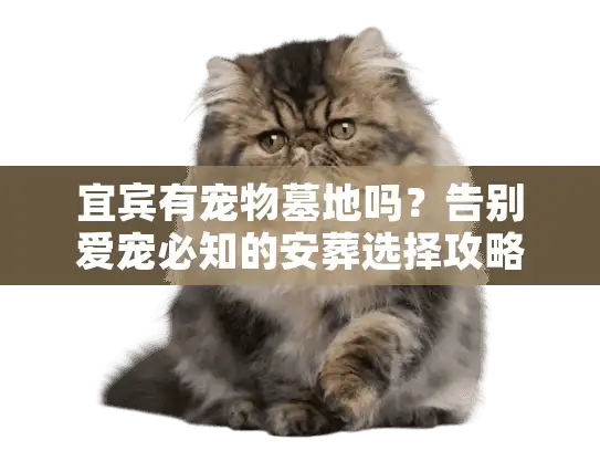 宜宾有宠物墓地吗?告别爱宠必知的安葬选择攻略 宜宾有宠物墓地吗?告别爱宠必知的安葬选择攻略