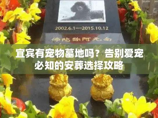 宜宾有宠物墓地吗?告别爱宠必知的安葬选择攻略 宜宾有宠物墓地吗?告别爱宠必知的安葬选择攻略