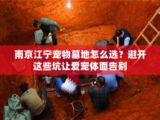 南京江宁宠物墓地怎么选？避开这些坑让爱宠体面告别