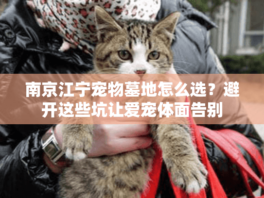 南京江宁宠物墓地怎么选？避开这些坑让爱宠体面告别