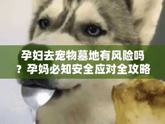 孕妇去宠物墓地有风险吗？孕妈必知安全应对全攻略