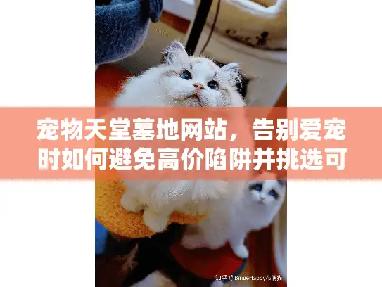 宠物天堂墓地网站，告别爱宠时如何避免高价陷阱并挑选可信赖服务？