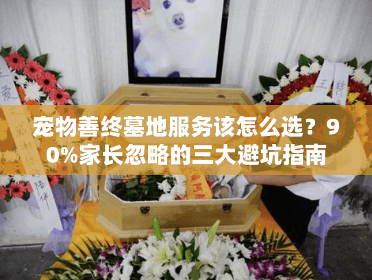 宠物善终墓地服务该怎么选？90%家长忽略的三大避坑指南