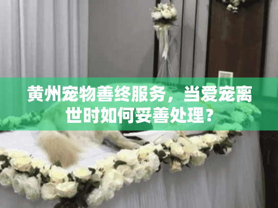 黄州宠物善终服务，当爱宠离世时如何妥善处理？