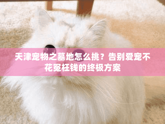 天津宠物之墓地怎么挑？告别爱宠不花冤枉钱的终极方案