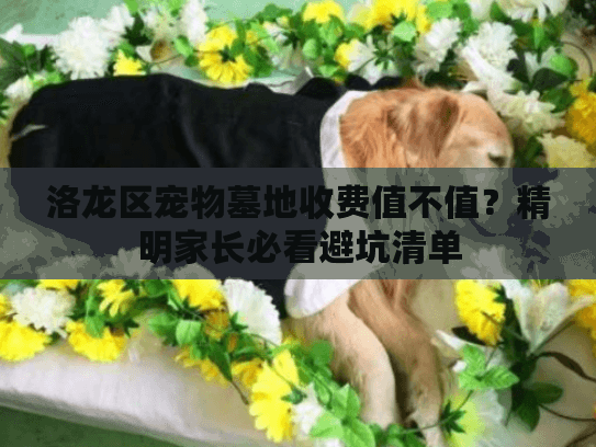 洛龙区宠物墓地收费值不值？精明家长必看避坑清单