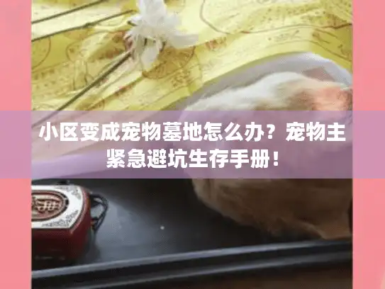 小区变成宠物墓地怎么办？宠物主紧急避坑生存手册！