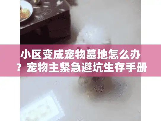 小区变成宠物墓地怎么办？宠物主紧急避坑生存手册！