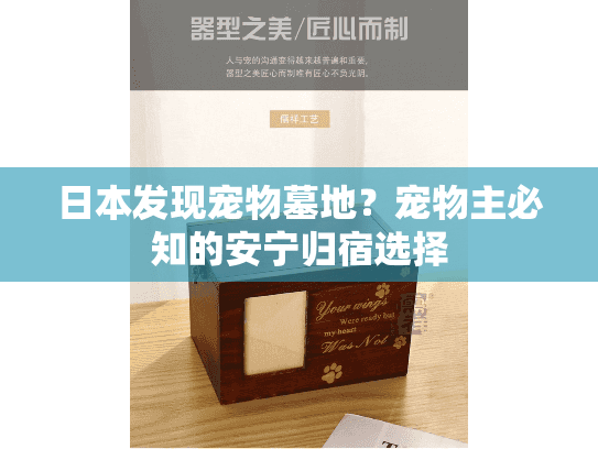 日本发现宠物墓地？宠物主必知的安宁归宿选择
