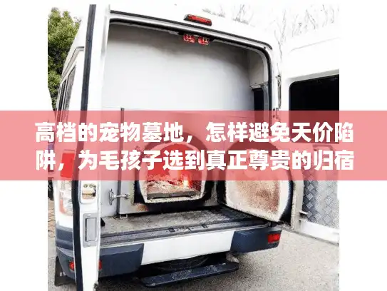 高档的宠物墓地，怎样避免天价陷阱，为毛孩子选到真正尊贵的归宿？