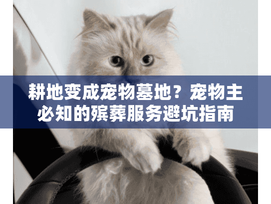 耕地变成宠物墓地？宠物主必知的殡葬服务避坑指南