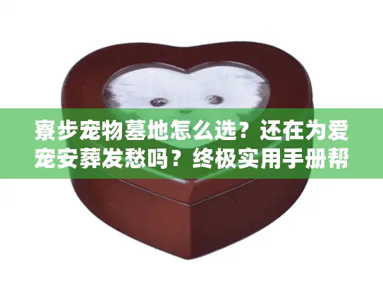 寮步宠物墓地怎么选？还在为爱宠安葬发愁吗？终极实用手册帮你避坑