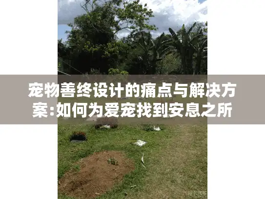 宠物善终设计的痛点与解决方案:如何为爱宠找到安息之所