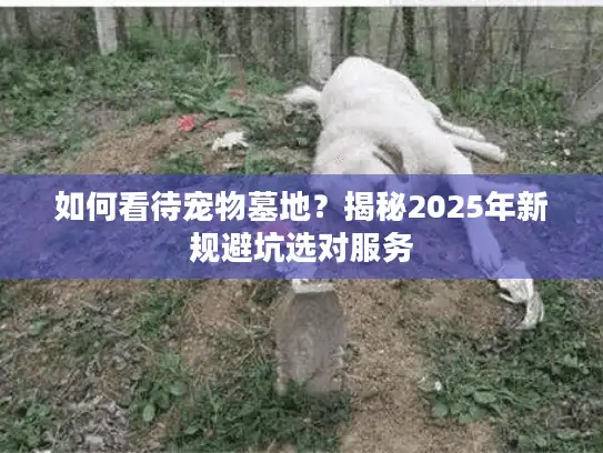 如何看待宠物墓地？揭秘2025年新规避坑选对服务