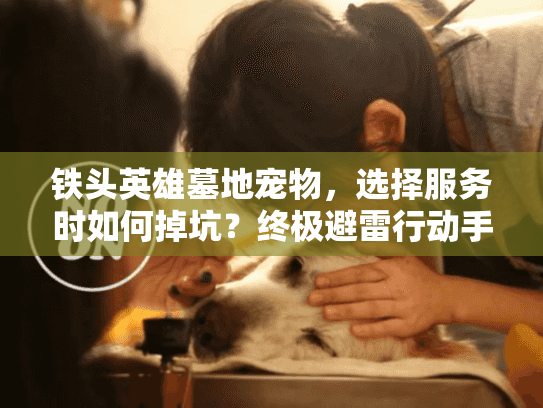 铁头英雄墓地宠物，选择服务时如何掉坑？终极避雷行动手册