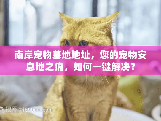 南岸宠物墓地地址,您的宠物安息地之痛,如何一键解决? 南岸宠物墓地地址,您的宠物安息地之痛,如何一键解决?