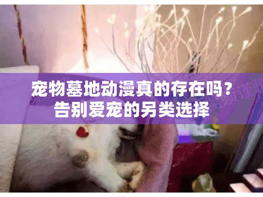 宠物墓地动漫真的存在吗？告别爱宠的另类选择