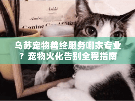 乌苏宠物善终服务哪家专业？宠物火化告别全程指南