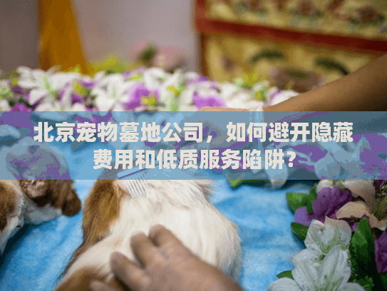 北京宠物墓地公司，如何避开隐藏费用和低质服务陷阱？