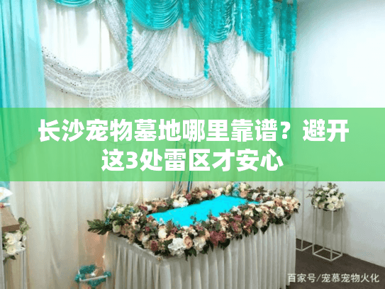 长沙宠物墓地哪里靠谱?避开这3处雷区才安心 长沙宠物墓地哪里靠谱?避开这3处雷区才安心