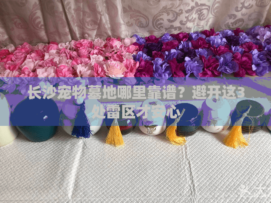 长沙宠物墓地哪里靠谱?避开这3处雷区才安心 长沙宠物墓地哪里靠谱?避开这3处雷区才安心