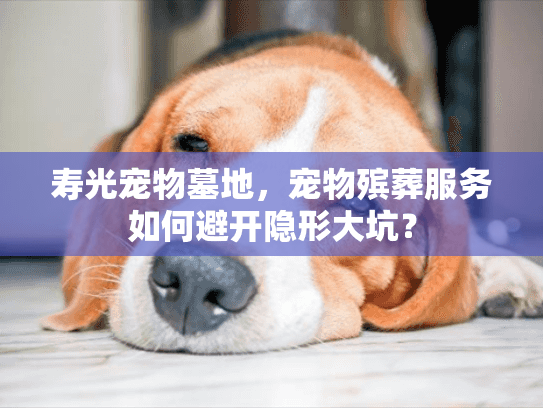 寿光宠物墓地，宠物殡葬服务如何避开隐形大坑？