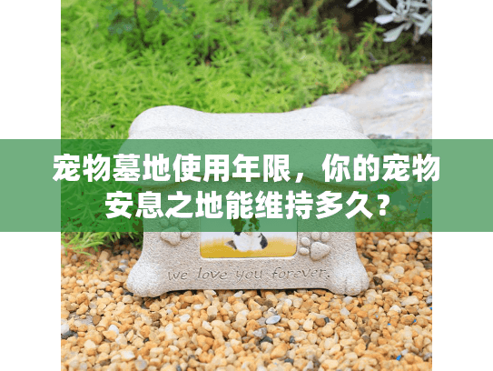 宠物墓地使用年限，你的宠物安息之地能维持多久？
