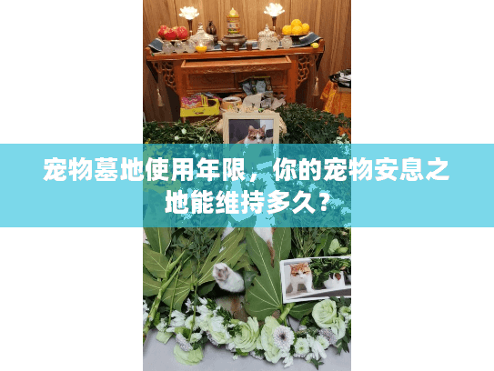 宠物墓地使用年限，你的宠物安息之地能维持多久？