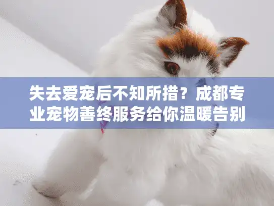 失去爱宠后不知所措?成都专业宠物善终服务给你温暖告别 失去爱宠后不知所措?成都专业宠物善终服务给你温暖告别