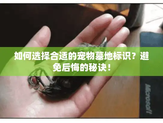 如何选择合适的宠物墓地标识？避免后悔的秘诀！