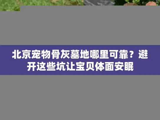 北京宠物骨灰墓地哪里可靠？避开这些坑让宝贝体面安眠