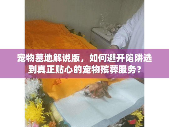 宠物墓地解说版，如何避开陷阱选到真正贴心的宠物殡葬服务？