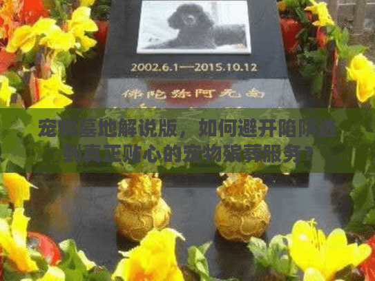 宠物墓地解说版，如何避开陷阱选到真正贴心的宠物殡葬服务？