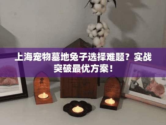 上海宠物墓地兔子选择难题？实战突破最优方案！