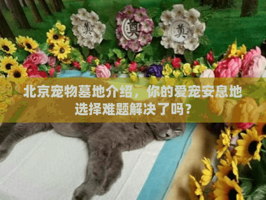 北京宠物墓地介绍，你的爱宠安息地选择难题解决了吗？
