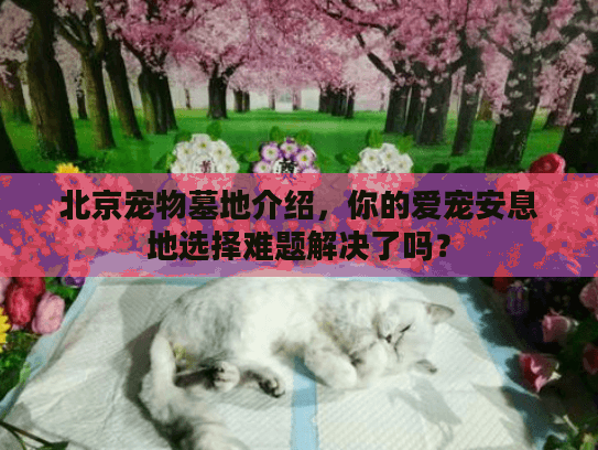 北京宠物墓地介绍，你的爱宠安息地选择难题解决了吗？