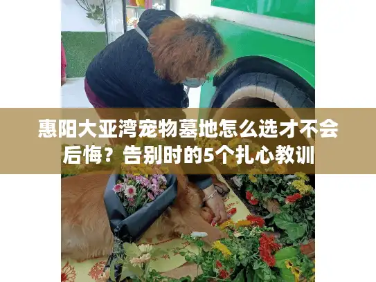 惠阳大亚湾宠物墓地怎么选才不会后悔?告别时的5个扎心教训 惠阳大亚湾宠物墓地怎么选才不会后悔?告别时的5个扎心教训