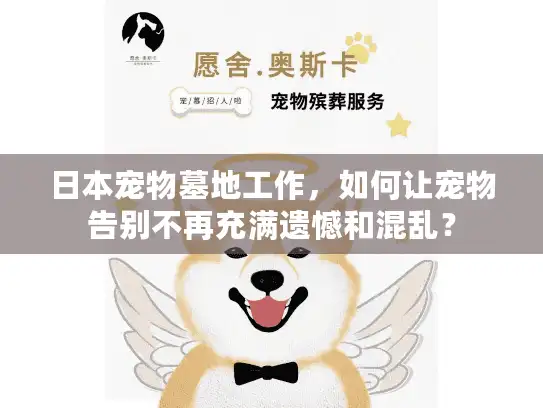 日本宠物墓地工作,如何让宠物告别不再充满遗憾和混乱? 日本宠物墓地工作,如何让宠物告别不再充满遗憾和混乱?