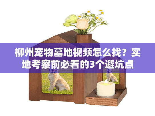 柳州宠物墓地视频怎么找?实地考察前必看的3个避坑点 柳州宠物墓地视频怎么找?实地考察前必看的3个避坑点