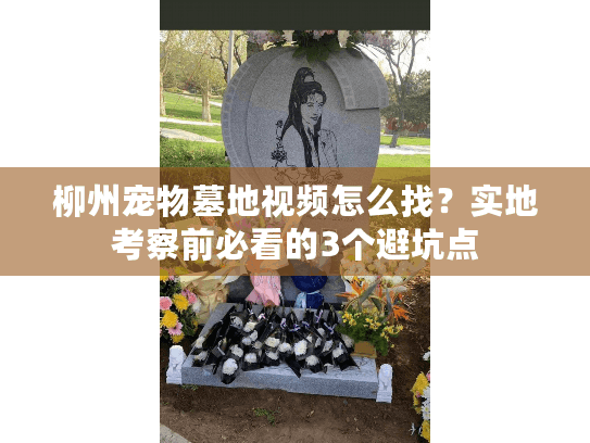 柳州宠物墓地视频怎么找?实地考察前必看的3个避坑点 柳州宠物墓地视频怎么找?实地考察前必看的3个避坑点