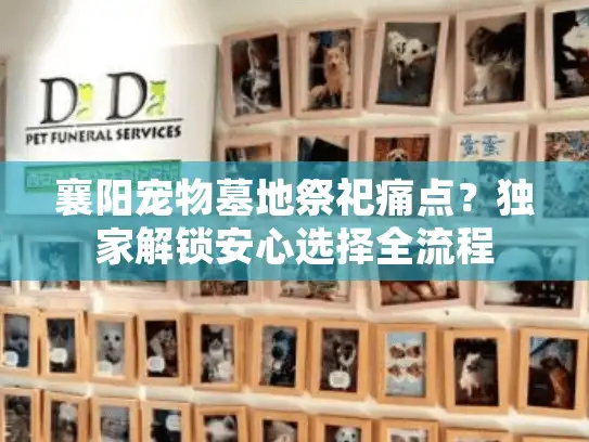 襄阳宠物墓地祭祀痛点？独家解锁安心选择全流程