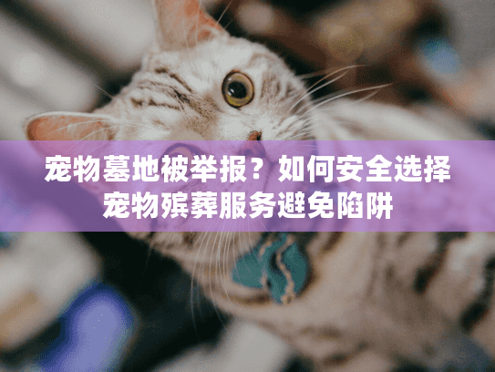 宠物墓地被举报？如何安全选择宠物殡葬服务避免陷阱
