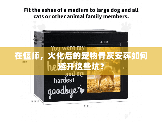 在偃师，火化后的宠物骨灰安葬如何避开这些坑？