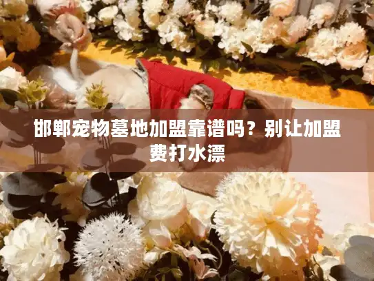 邯郸宠物墓地加盟靠谱吗?别让加盟费打水漂 邯郸宠物墓地加盟靠谱吗?别让加盟费打水漂