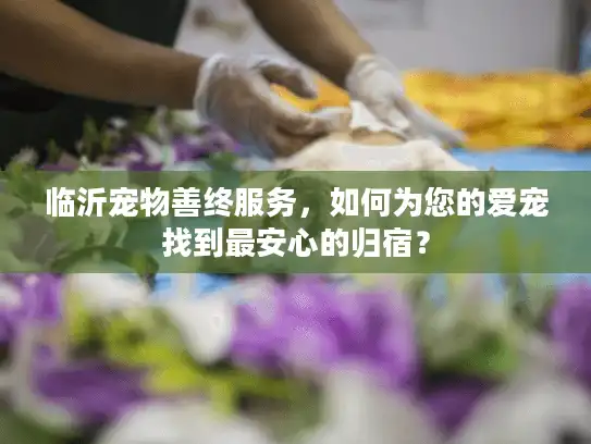 临沂宠物善终服务，如何为您的爱宠找到最安心的归宿？