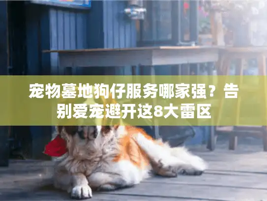 宠物墓地狗仔服务哪家强？告别爱宠避开这8大雷区