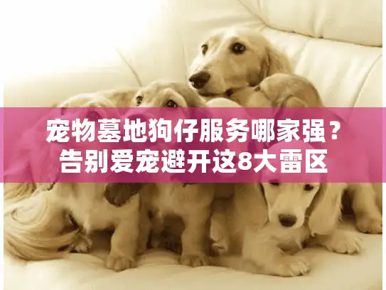 宠物墓地狗仔服务哪家强？告别爱宠避开这8大雷区