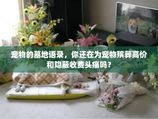 宠物的墓地语录,你还在为宠物殡葬高价和隐蔽收费头痛吗? 宠物的墓地语录,你还在为宠物殡葬高价和隐蔽收费头痛吗?