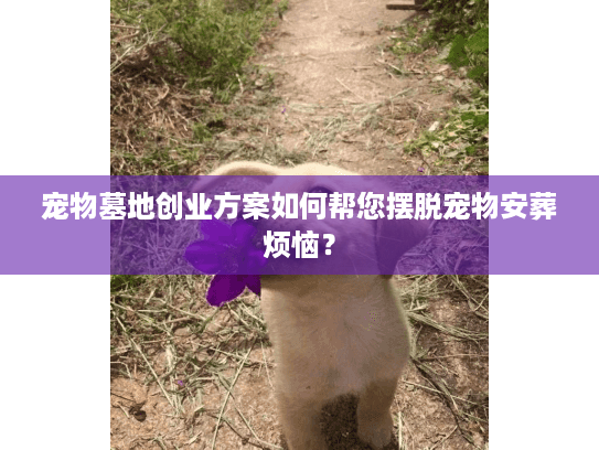 宠物墓地创业方案如何帮您摆脱宠物安葬烦恼? 宠物墓地创业方案如何帮您摆脱宠物安葬烦恼?