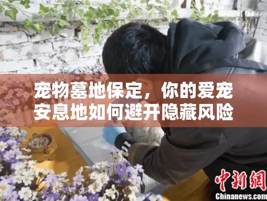 宠物墓地保定，你的爱宠安息地如何避开隐藏风险？